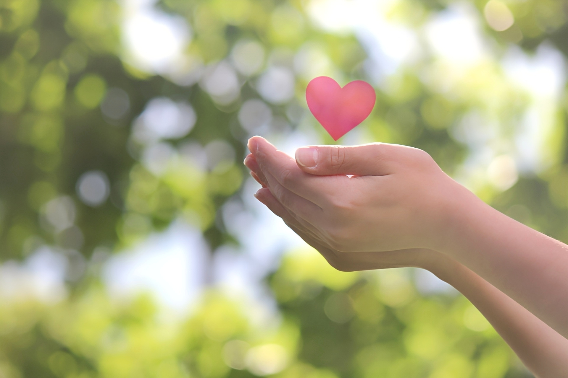 保証やサポートの確認