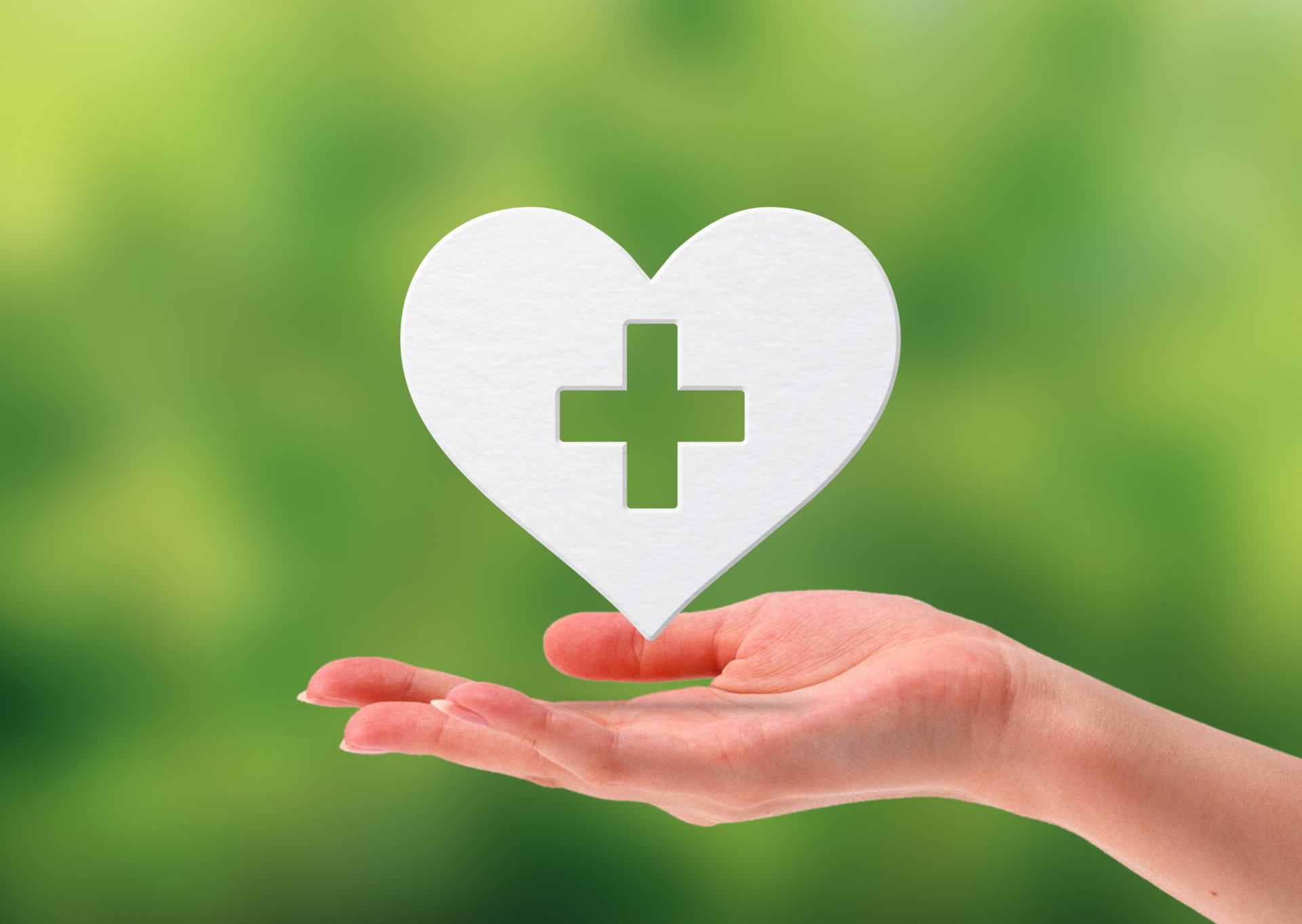 動作確認と保証書