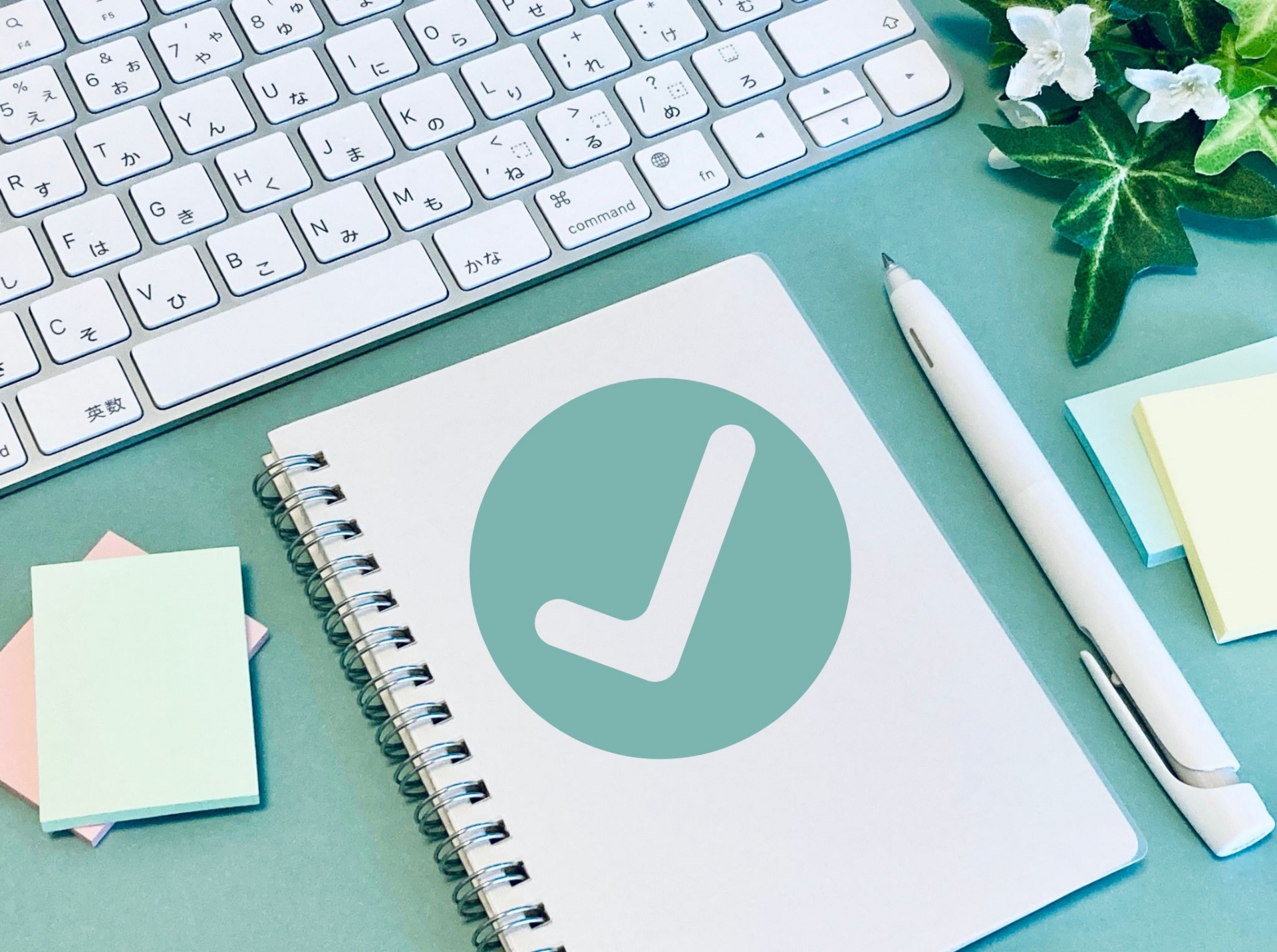 セットアップとドライバ更新